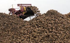 Sugar%20beet%20harvest%2023